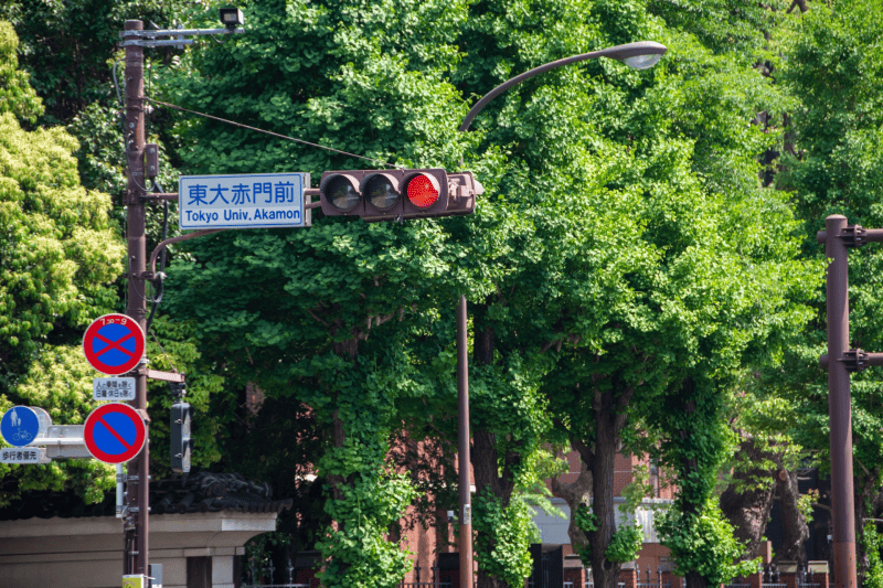 東京大学英語